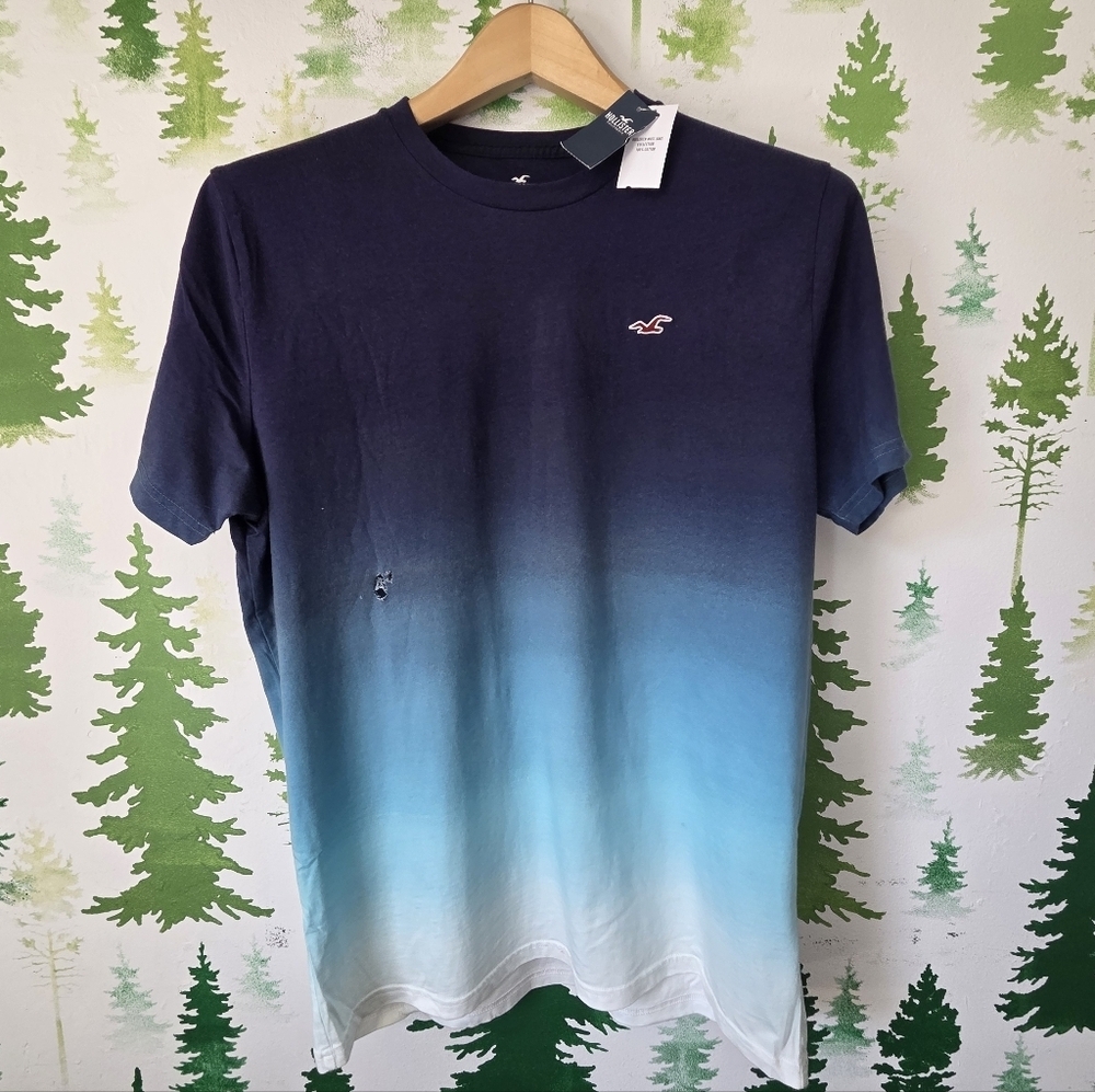 Hollister Men's Navy to Aqua Ombre Crew Tee
